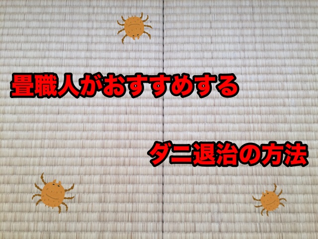 【ダニ駆除シート】畳職人がおすすめする畳のダニ退治方法