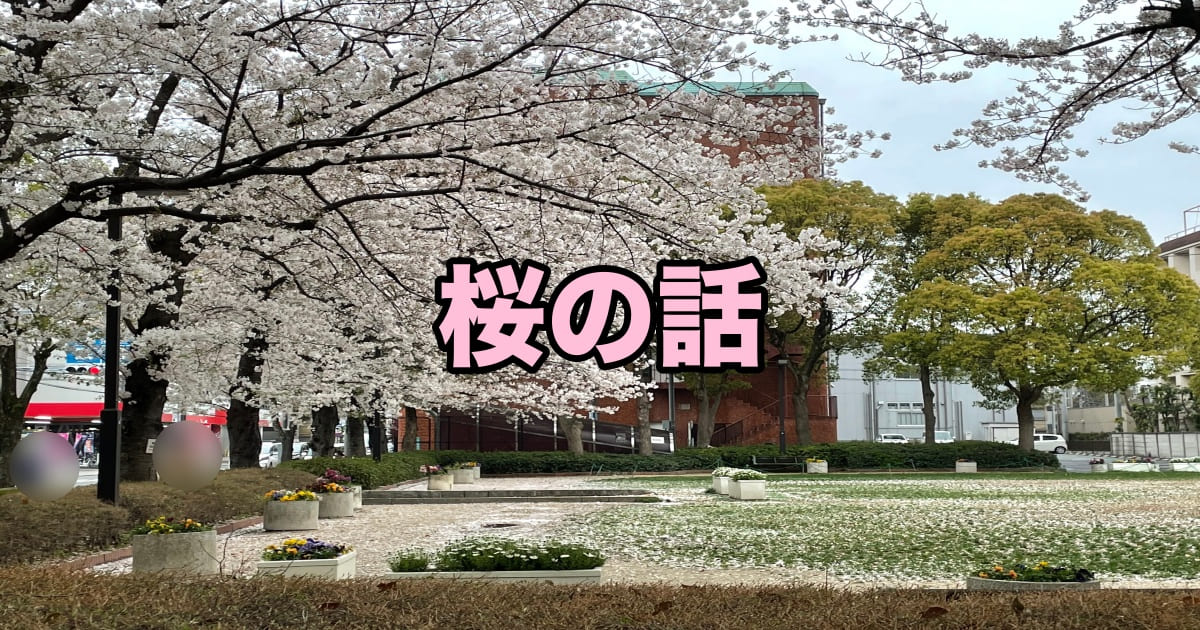 桜の話