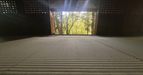 【Tatami Care Guide】 How to Maintain Your Tatami: A Comprehensive Guide