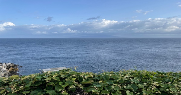 【伊豆七島の畳替え】御蔵島で畳を張り替えてきました!出張対応の畳職人が伺います